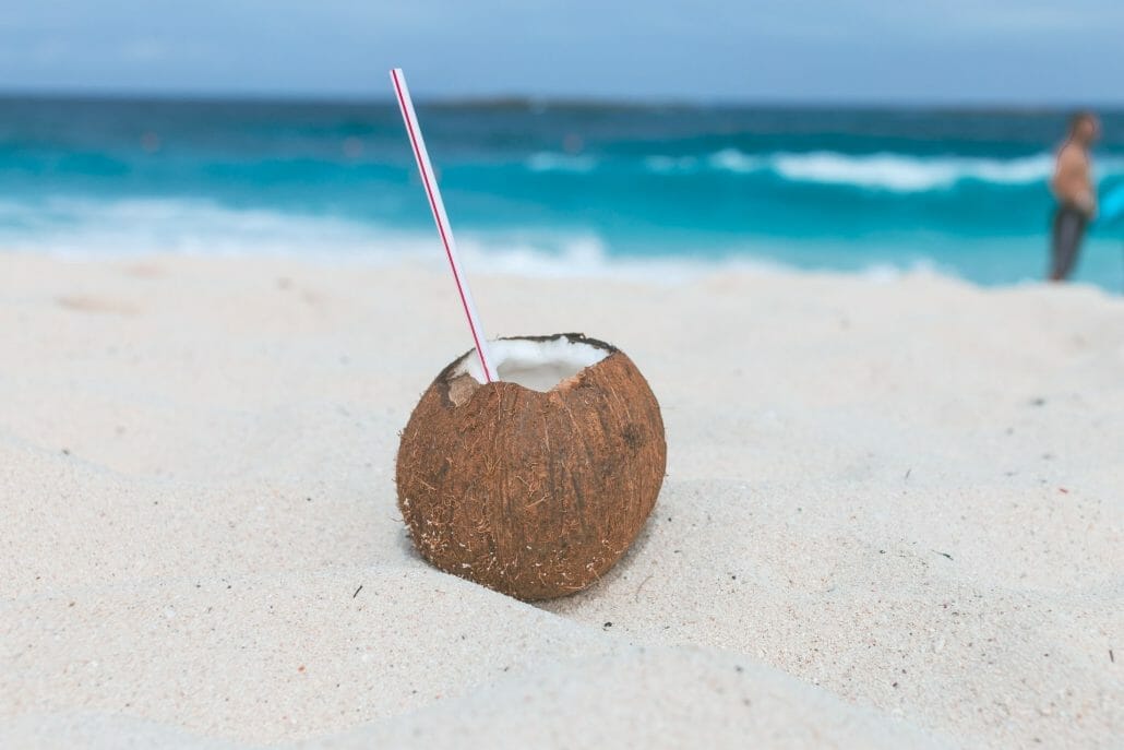 What is coconut milk?