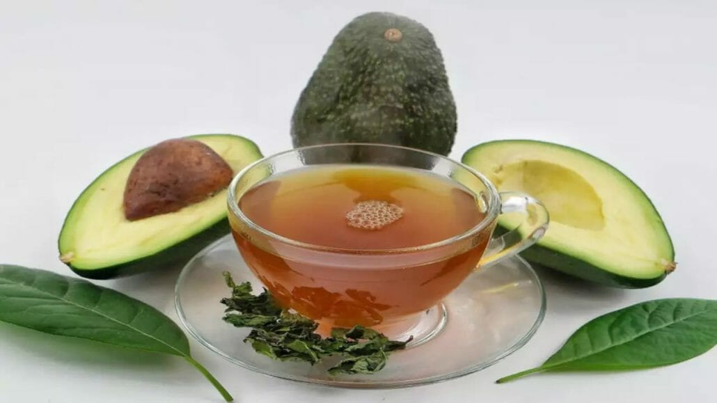 Avocado Seed Tea to Treat a Stomach Ache