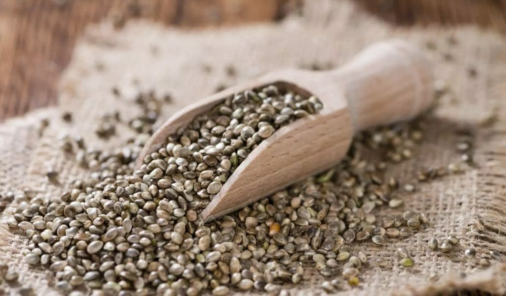 Can hemp seeds cause you to fail a drug test?