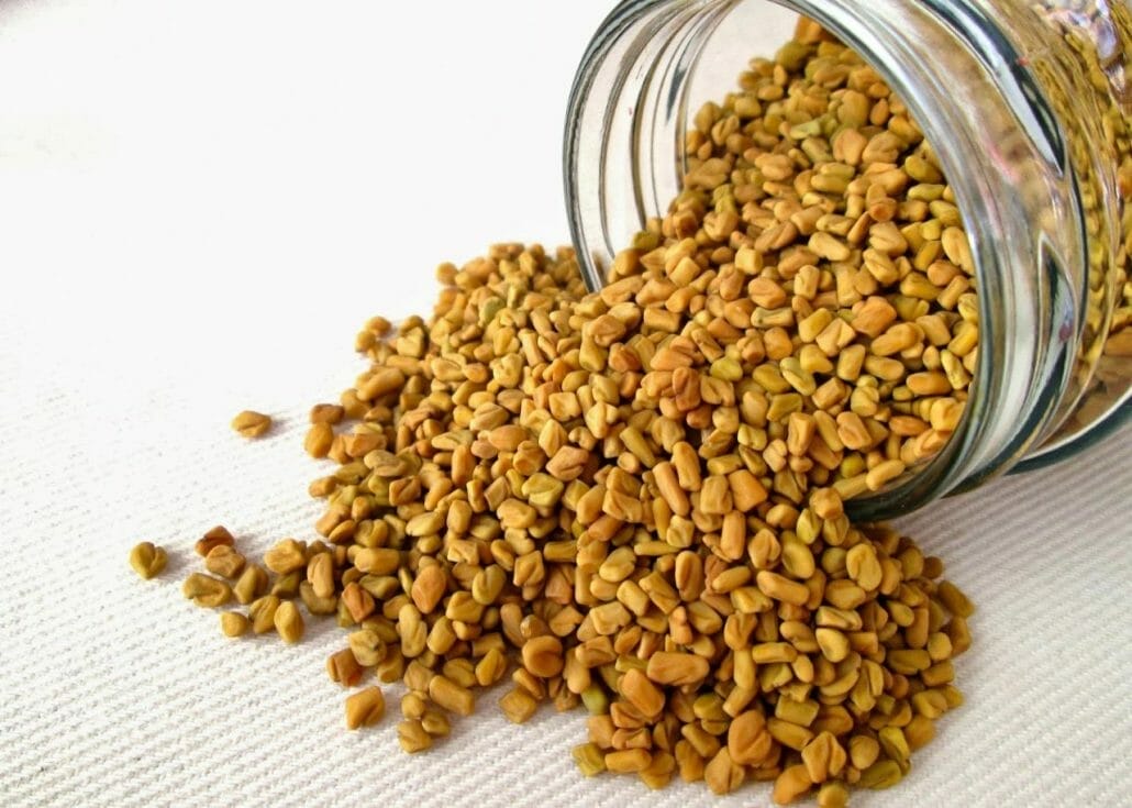 Can you overdose on fenugreek ?