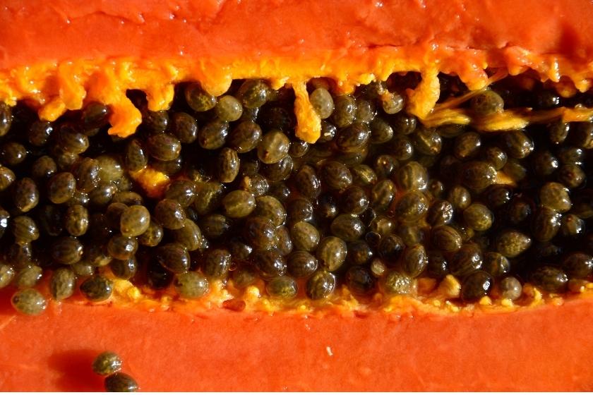 What To Do With Papaya Seeds? Find Out Here!