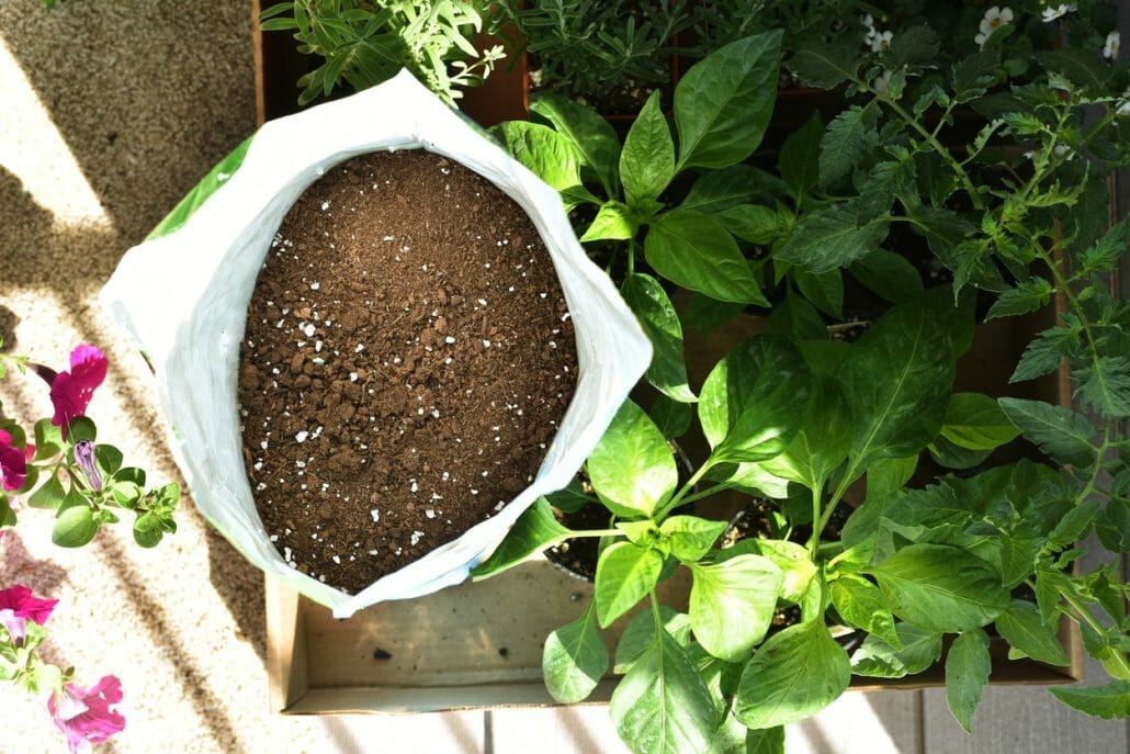 How potting soils help plants grow ?