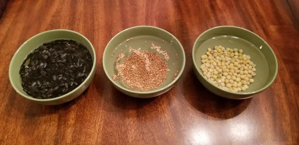 Is it better to soak seeds before planting?