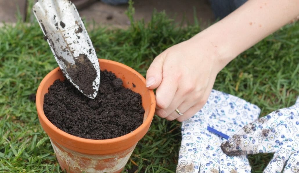 Potting mix for containers