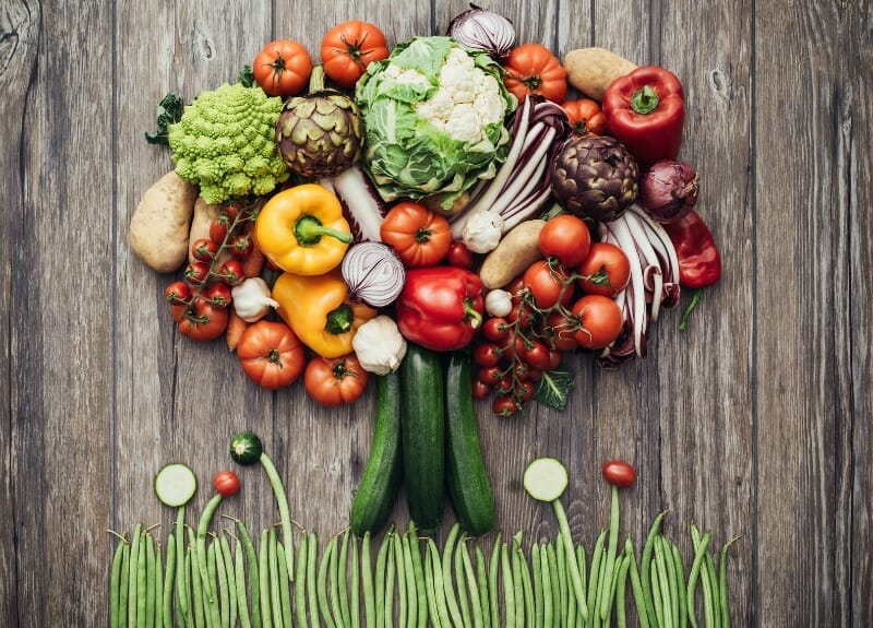 What Plant Based Food Has The Most Protein ?