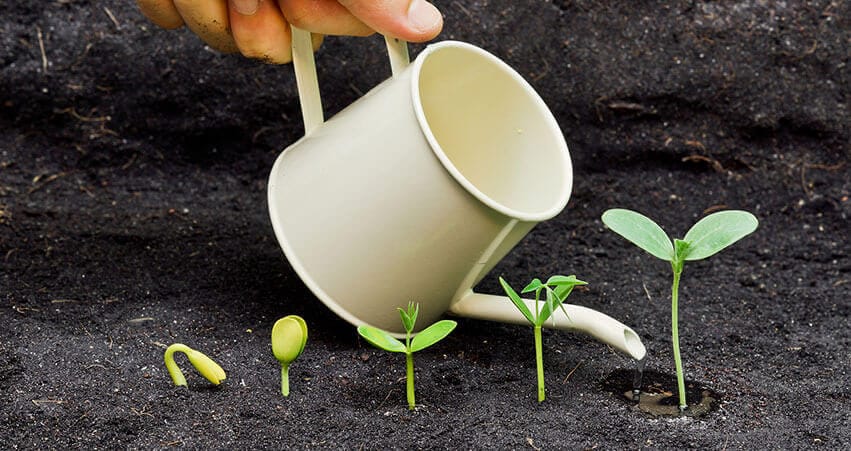 What do seeds require to sprout ?