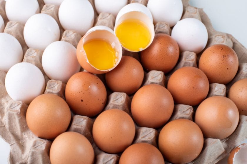 Do Eggs Contain Dairy? Do Eggs Contain Dairy?