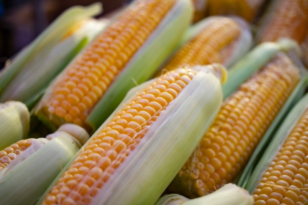 Corn allergy symptoms
