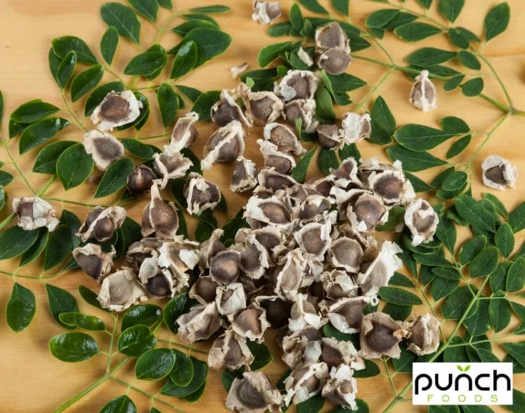 Our Ultimate Guide To Eating Moringa Seeds