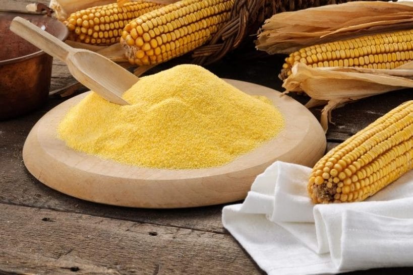 Is Maize Flour Gluten Free? Is Maize Flour Gluten Free?