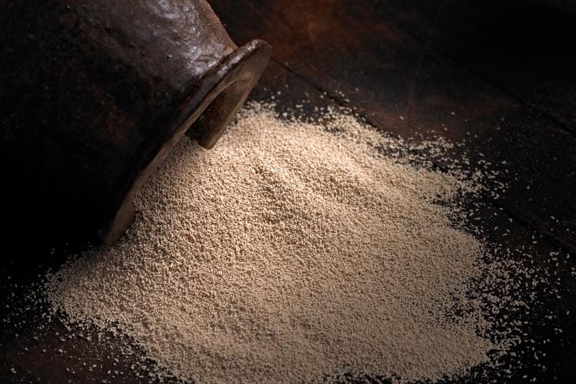 Can You Eat Yeast On A Gluten Free Diet? Can You Eat Yeast On A Gluten Free Diet?