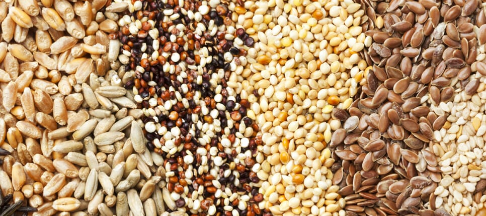 Some seeds might not be good for acid reflux