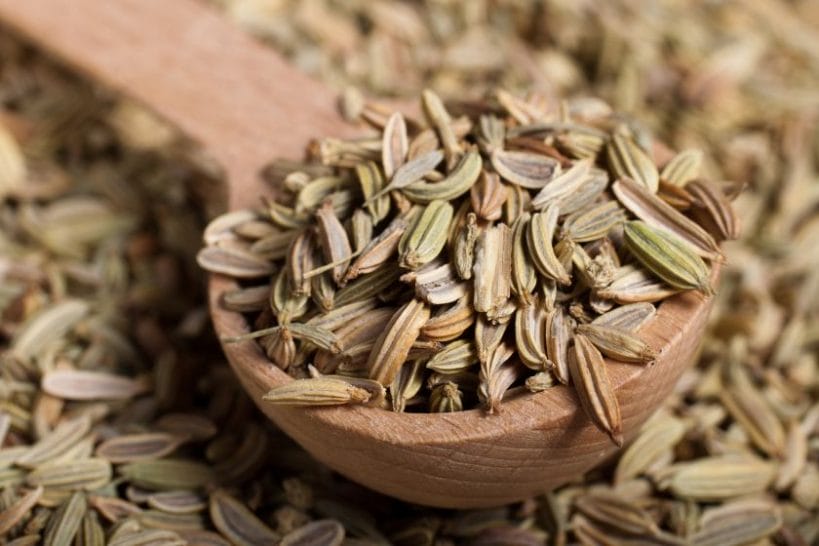 What Are Fennel Seeds? What Are Fennel Seeds?