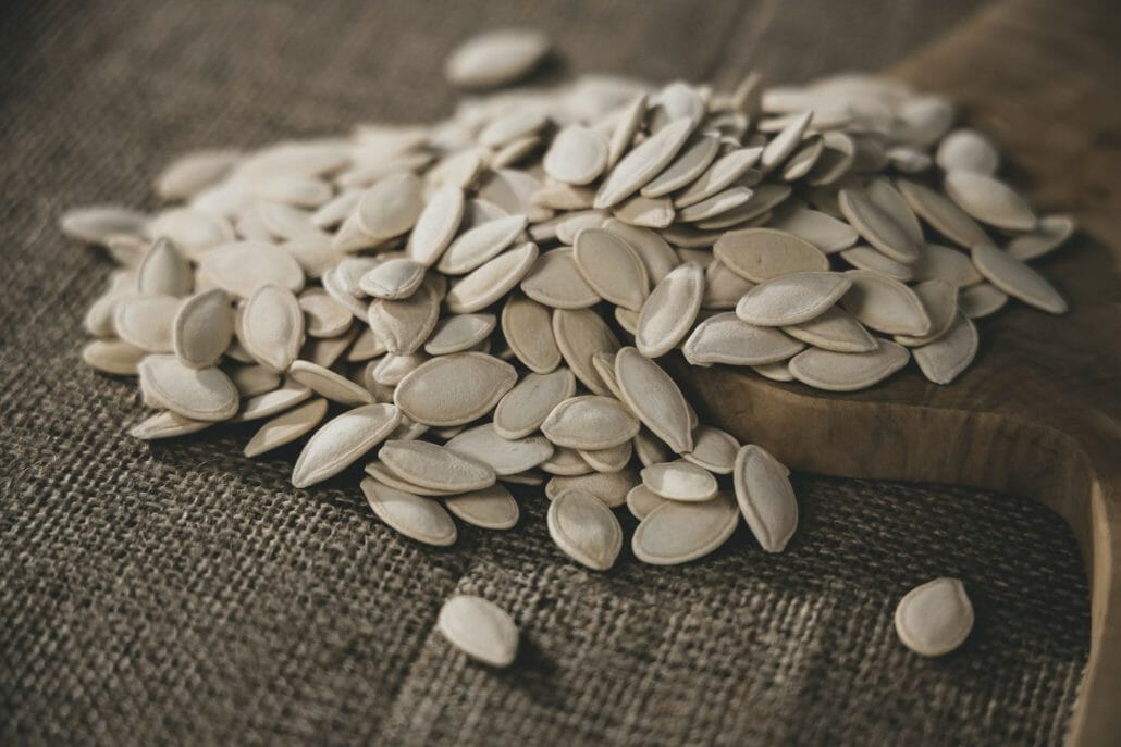 Can Rabbits Eat Pumpkin Seeds?