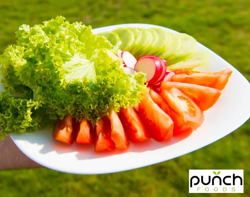 Frequently Asked Questions About Vegan Diets & Seizures