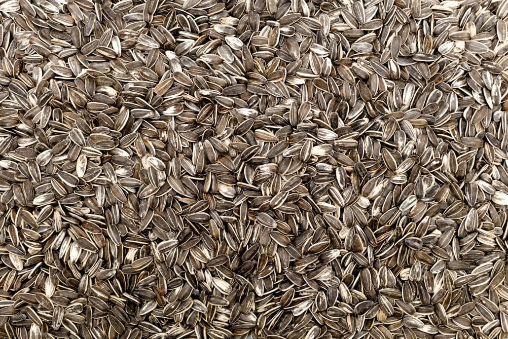 Sunflower Seeds Health Benefits