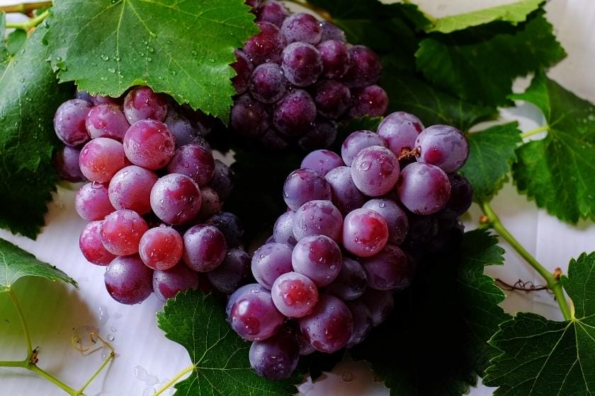 The Main Differences Between Seeded & Seedless Grapes