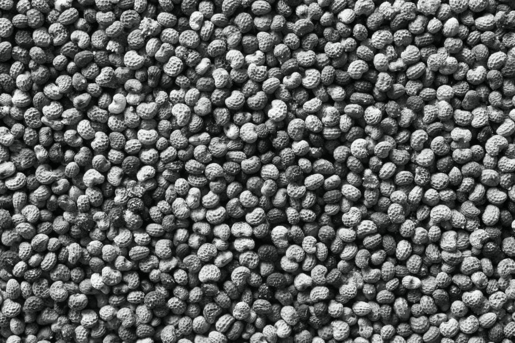 Are There Any Risks and Side Effects in Taking Poppy Seeds?