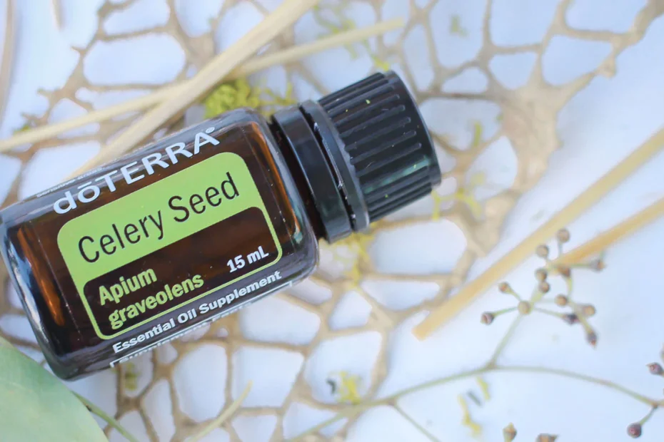 Celery Seed Essential Oil Benefits + How To Use - Read Here!