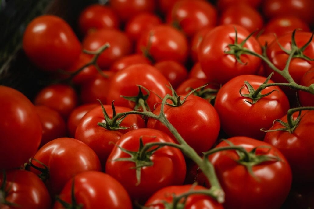 How To Can Tomatoes
