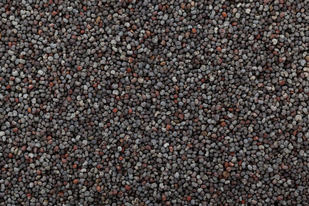 Nutrition Facts of Poppy Seeds