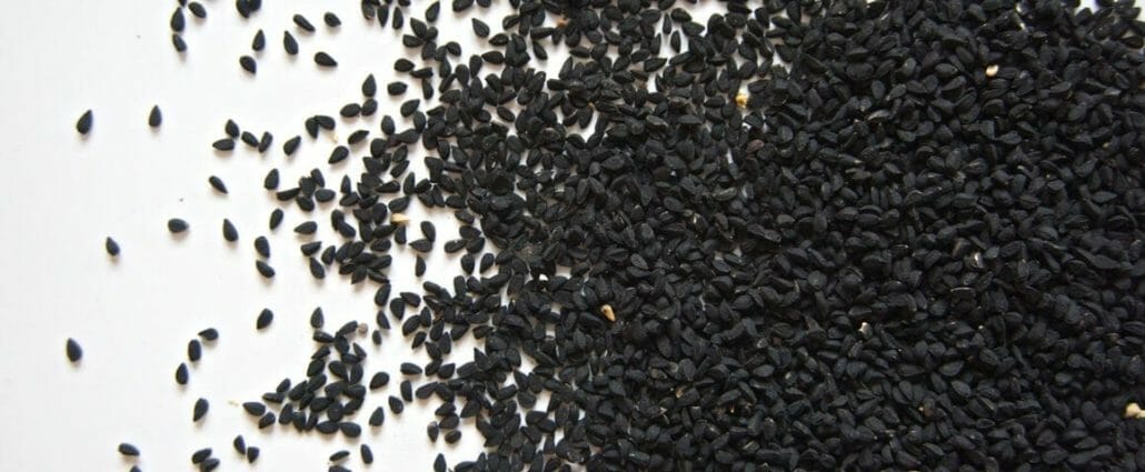 Onion Seeds