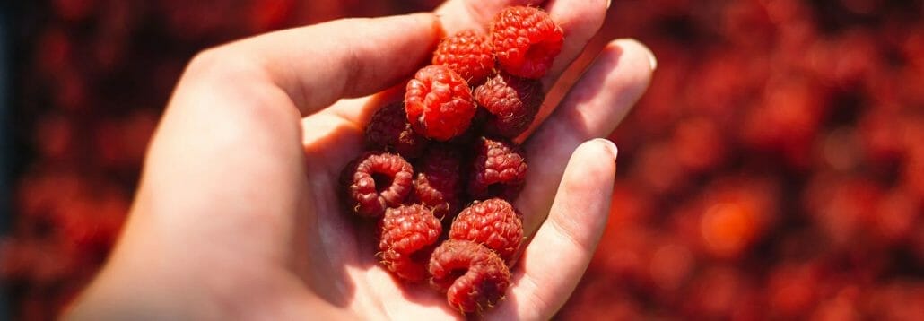 Raspberry seed oil for better skin