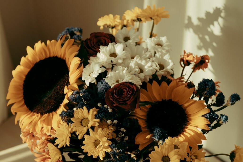 Sunflower variety