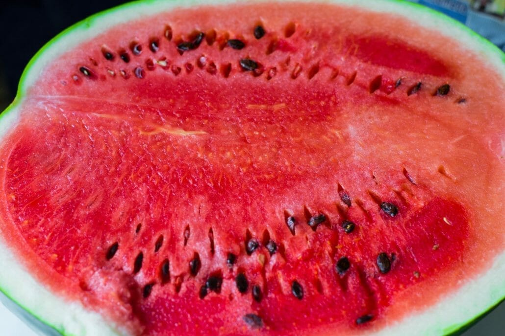 The life of watermelon seed