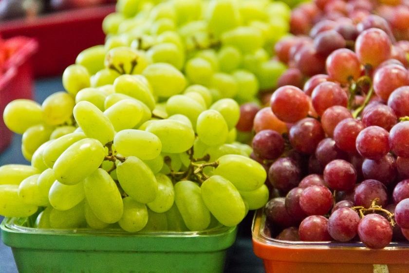Frequently Asked Questions About Seedless & Seeded Grapes Frequently Asked Questions About Seedless & Seeded Grapes