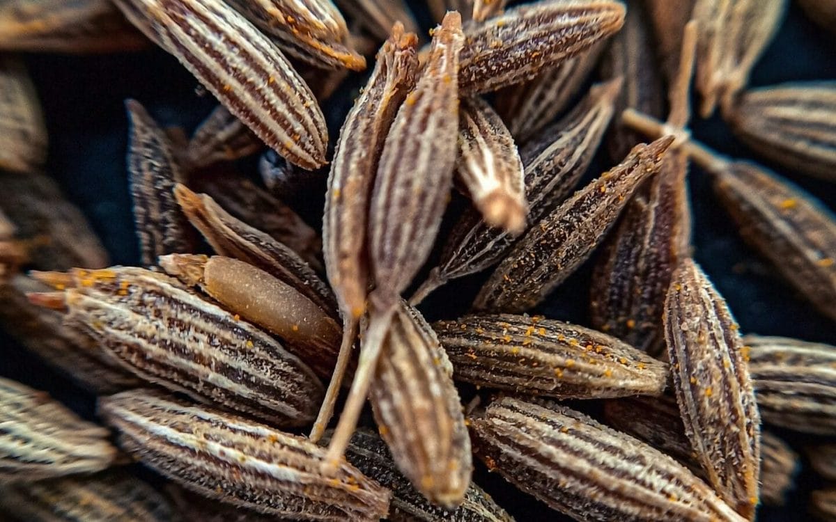 Anise Seed Substitutes