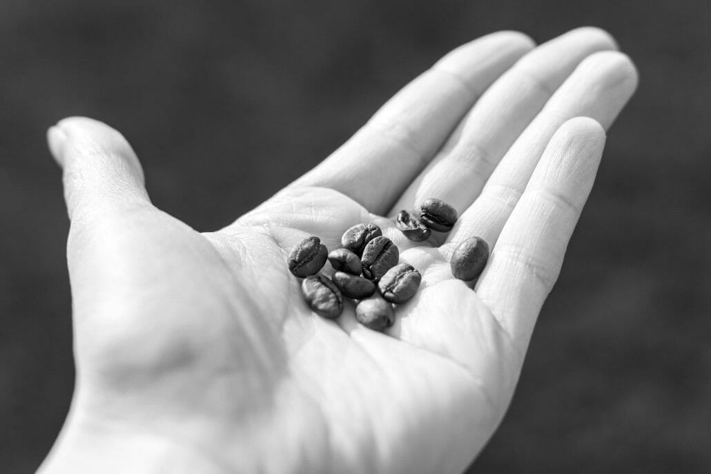 Are Beans Gluten-free?