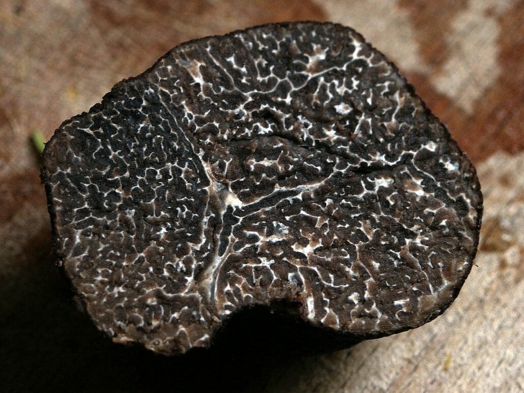Are Truffles Vegan?