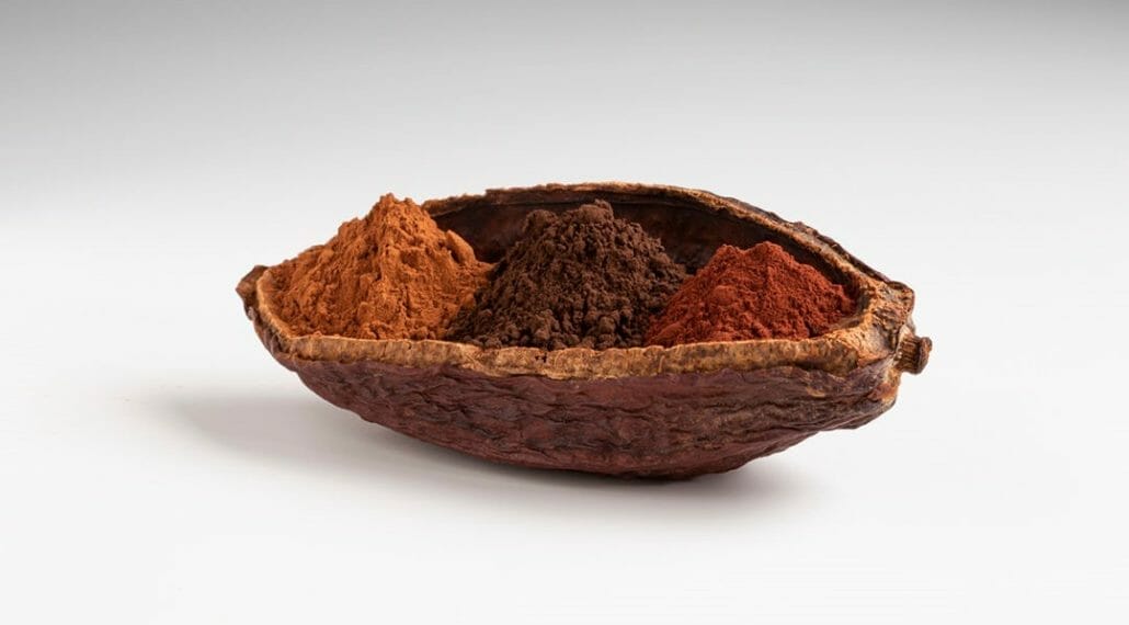 Origin Of Cocoa Powder?