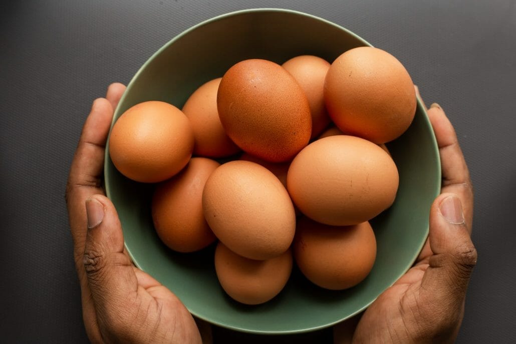 Egg