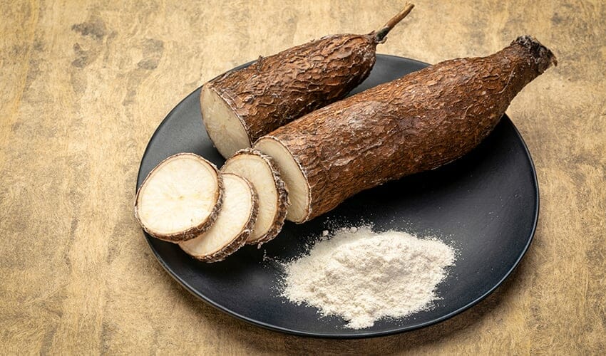 How Is Tapioca Made?
