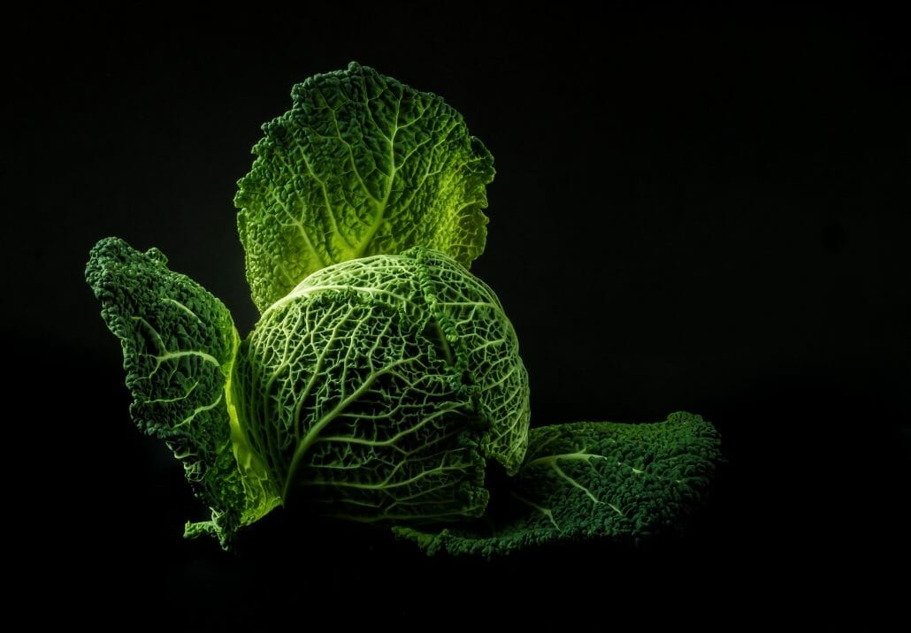 Is Cabbage A Vegetable?