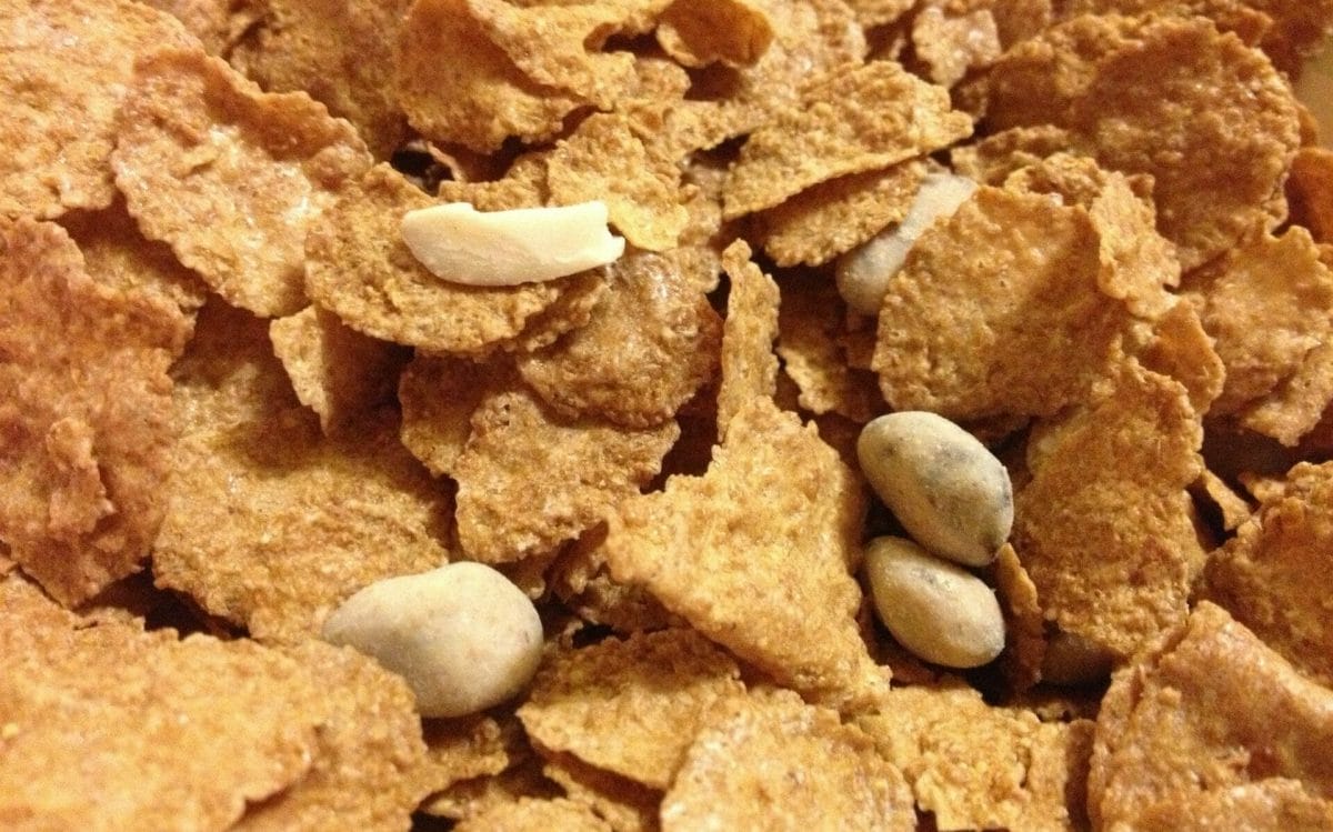 Is Raisin Nut Bran Free Of Gluten?