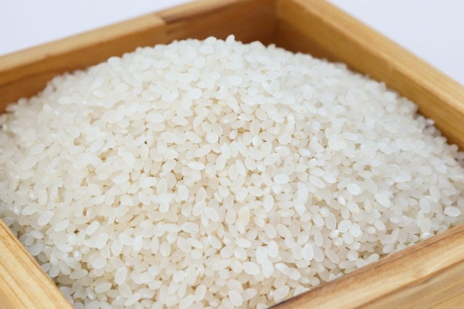 Is Rice Vegan? Find Out Here!