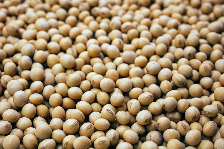 Is Soy Lecithin Vegan? Find Out Here!