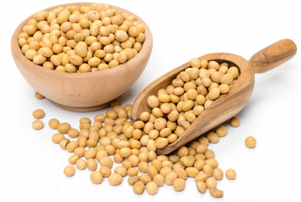 Is Soya Lecithin Vegan?