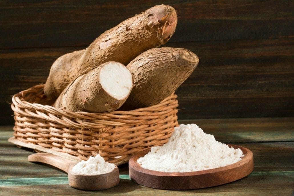 Is Tapioca Vegan?