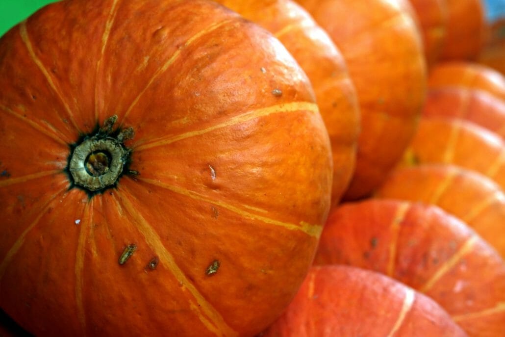 Kabocha