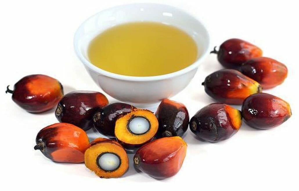 What About Palm Oil?