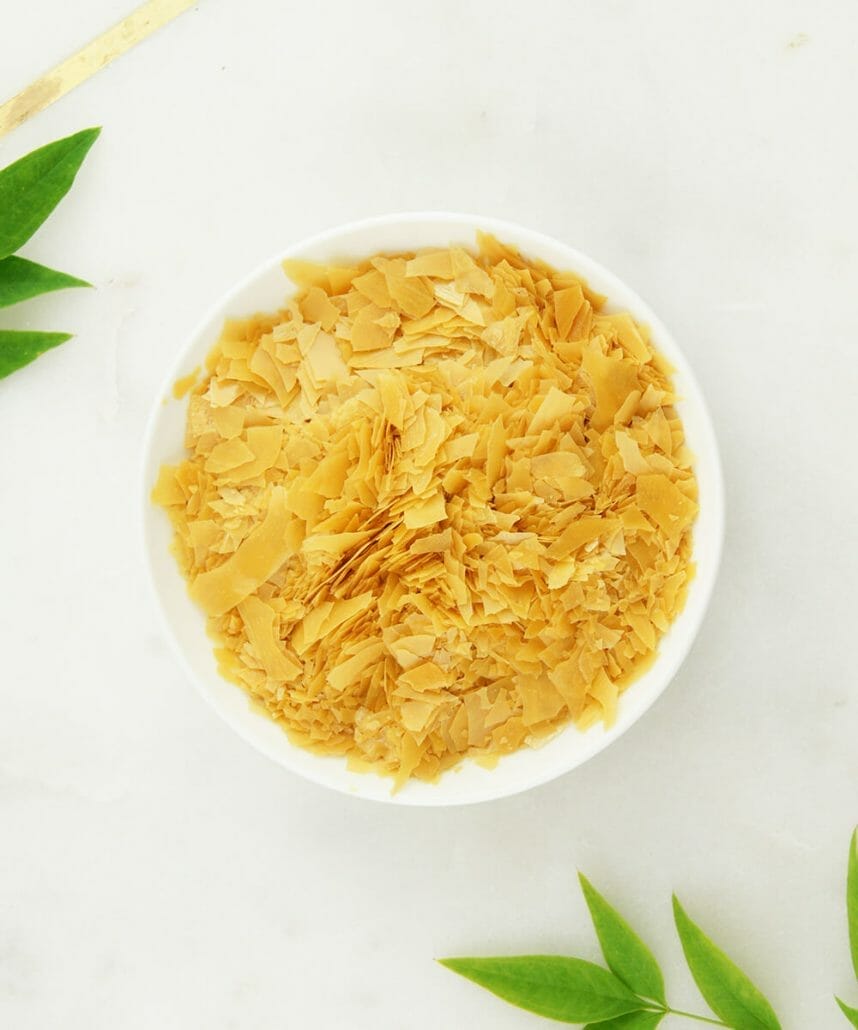 What Are Some Uses Of Carnauba Wax?