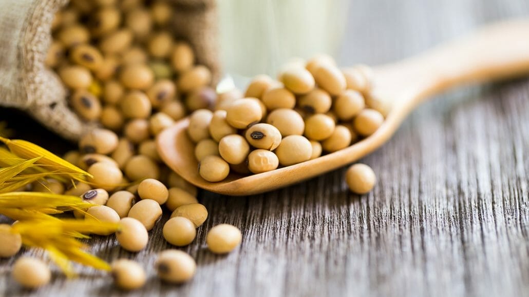 What Exactly Is Soya Lecithin?