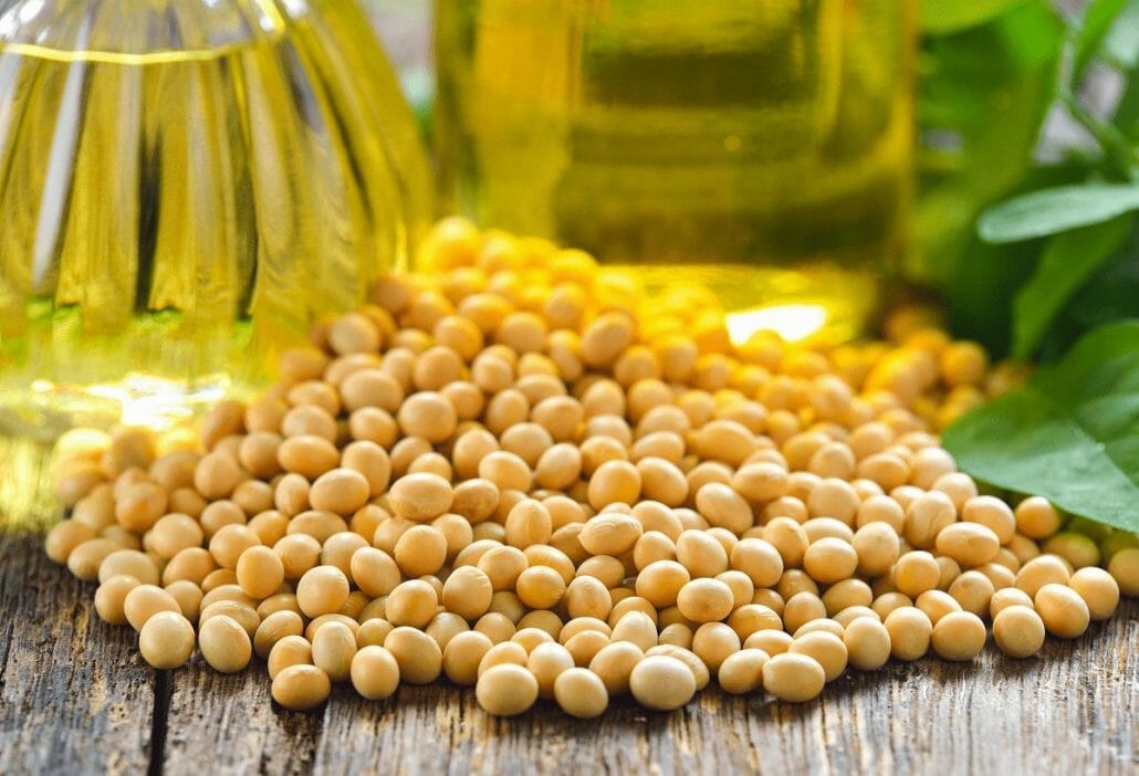 What Is Soybean Oil?