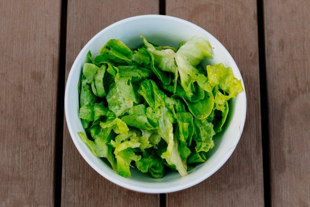 What Subway Ingredients Are Vegetarian?