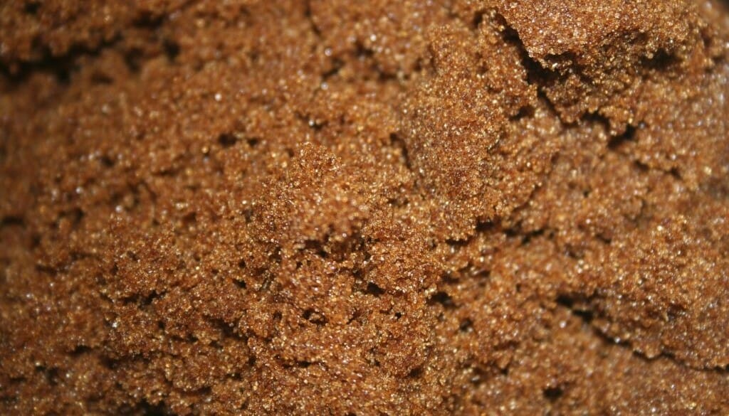 Is Brown Sugar Vegan?