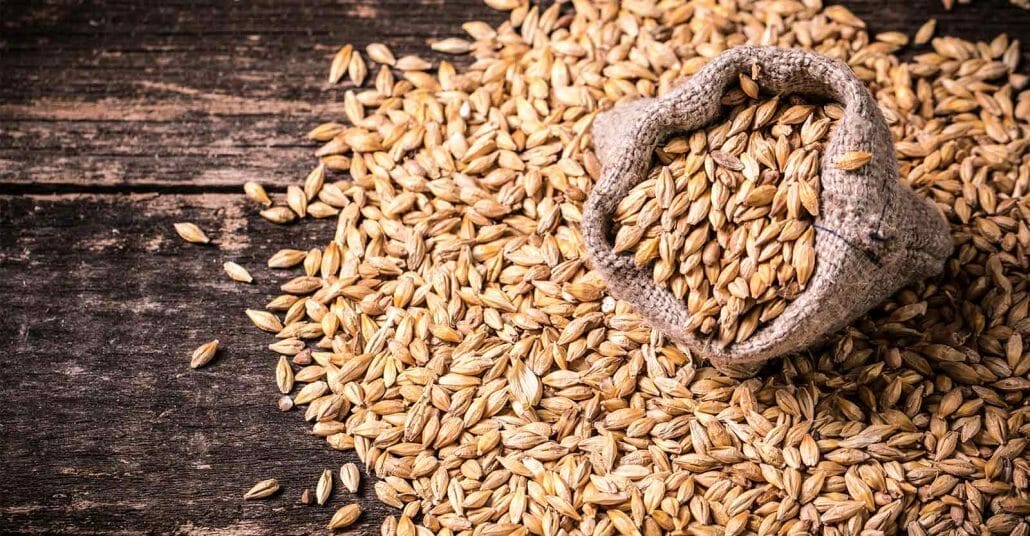 Why Do Manufacturers Use Malted Barley?